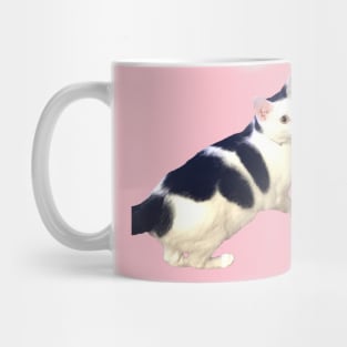 Cute Black & White Cat Mug